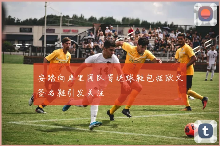 安踏向库里团队寄送球鞋包括欧文签名鞋引发关注