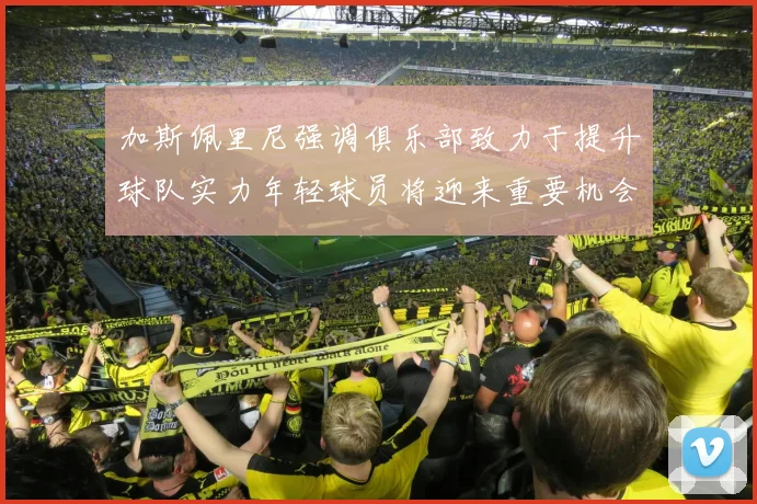 加斯佩里尼强调俱乐部致力于提升球队实力年轻球员将迎来重要机会